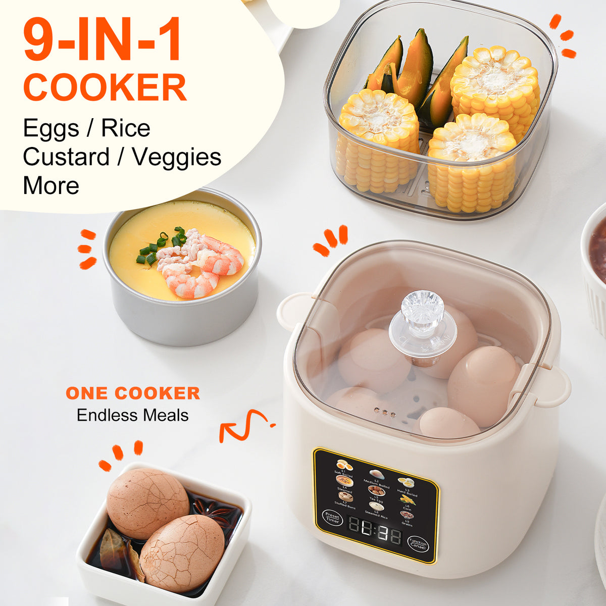 Electric Hard Boiled Egg Cooker & Mini Food Steamer,24H Delay Start