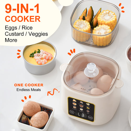 Electric Hard Boiled Egg Cooker & Mini Food Steamer,24H Delay Start