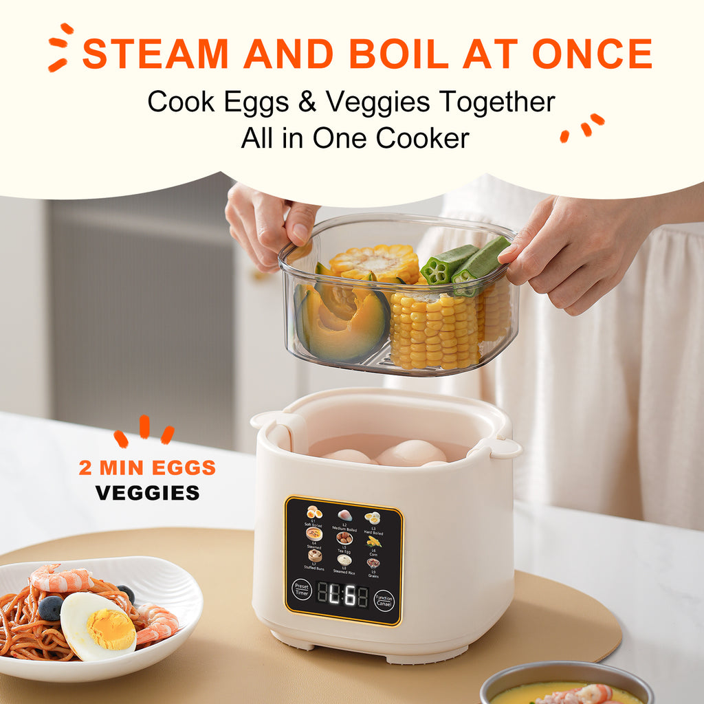 Electric Hard Boiled Egg Cooker & Mini Food Steamer,24H Delay Start