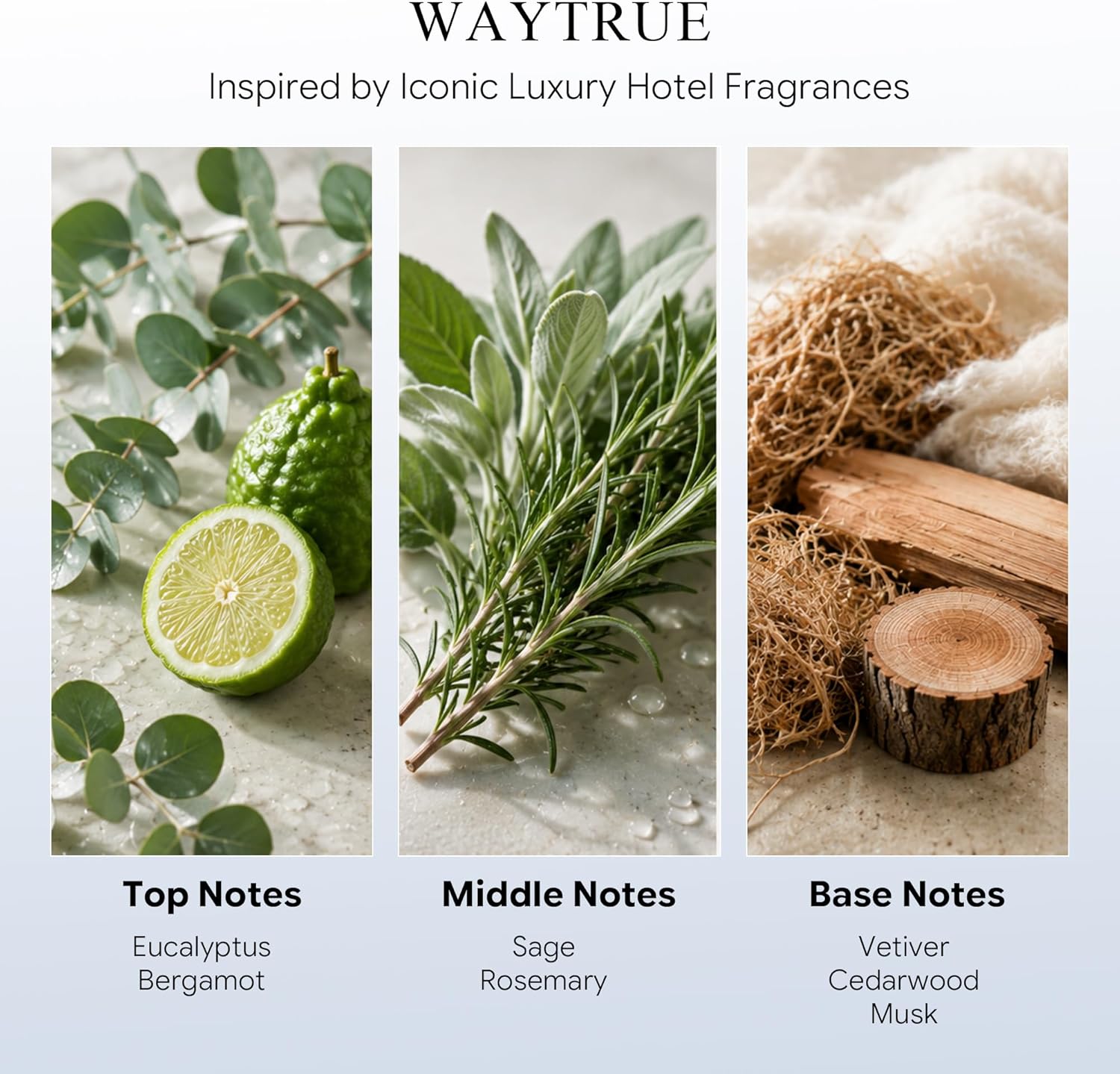 Starlight Fragrance Oil for Waterless Diffusers